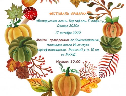 ФЕСТИВАЛЬ-ЯРМАРКА  «Белорусская осень. Картофель. Плоды. Овощи-2020»